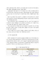 화승 르까프 브랜드분석과 르까프 미국 워킹화 시장진출 경영,마케팅전략 기획안-5