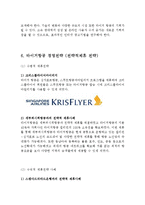 타이거항공 기업분석과 경영전략분석및 타이거 항공 마케팅전략,SWOT분석과 타이거항공 현 문제점분석및 기업발전방안연구 레포트-13