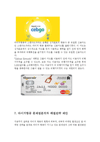 타이거항공 기업분석과 경영전략분석및 타이거 항공 마케팅전략,SWOT분석과 타이거항공 현 문제점분석및 기업발전방안연구 레포트-14