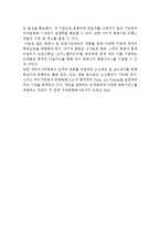 타이거항공 기업분석과 경영전략분석및 타이거 항공 마케팅전략,SWOT분석과 타이거항공 현 문제점분석및 기업발전방안연구 레포트-16