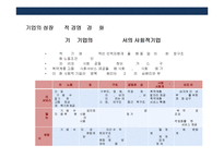 사회적기업의 이해와 세계각국의 사회적기업 성공사례-13