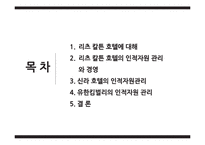 글로벌 인적자원관리 사례-2