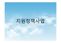 다문화가족과 가족복지(지원정책사업, 다문화가족지원사업, 다문화가족정책) PPT, 파워포인트-2