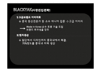 노스페이스 vs 블랙야크 기업비교분석과 SWOT분석및 블랙야크,노스페이스 중국진출 마케팅 4P,STP전략 비교분석과 새로운 마케팅전략 제안-18