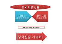 이랜드의 중국 진출 성공사례-13