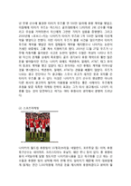 NIKE 나이키 기업분석과 SWOT분석및 나이키 마케팅전략,광고전략 사례분석과 성공요인분석 보고서-18