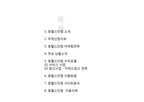 호텔스닷컴 사이트분석과 수익모델및 마케팅전략 분석 PPT-2