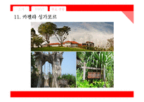 호텔스닷컴 사이트분석과 수익모델및 마케팅전략 분석 PPT-20