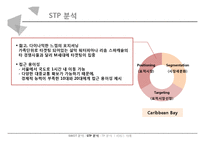 오션월드 vs 캐리비안베이 서비스 마케팅 SWOT,STP,4P전략 비교분석과 두기업의 새로운 전략 제안 PPT레포트-17