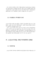 소년소녀가정의 개념, 발생원인, 문제 및 복지대책(소년소녀가정의 개념, 소년소녀가정의 발생원인, 소년소녀가정의 문제, 소년소녀가족 복지대책)-7
