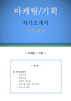 마케팅/기획 자기소개서 우수예문(마케팅기획 자소서,마케팅 자기소개서,기획직 자기소개서,영업기획직 자소서,경영지원 합격예문,경영기획 우수예문)-1