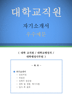 대학교 교직원 자기소개서 우수예문(대학교 교직원 자소서,대학교 행정사무원 자기소개서,대학교행정직 자기소개서,교직원 자소서,대학교교직원 합격예문)-1