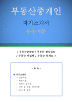 부동산중개인 자기소개서 우수예문(부동산중개인 자소서,부동산중개소 자기소개서,부동산 자기소개서,공인중개사 자소서,공인중개사 합격예문,부동산컨설)-1