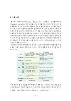 사우스웨스트항공 기업분석과 SWOT분석및 사우스웨스트 현마케팅,경영전략분석과 사우스웨스트 항공 향후전략 기획안-7