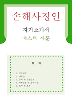 [손해사정인 자기소개서 우수예문] 손해사정인 자소서,손해사정사 자기소개서,보험심사직 자기소개서,보험사 자소서, 언더라이터 합격예문,손해사정사-1