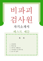 [비파괴 검사원 자기소개서 우수예문] 비파괴검사원 자소서,방사선투과검사(RT),항공비파괴 검사원 자기소개서,비파괴 검사원 합격예문,자소서 샘플-1