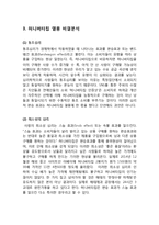 허니버터칩 열풍분석과 허니버터칩 마케팅 SWOT,STP,4P전략분석과 허니버터칩 미래전략제안 보고서-6