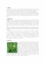 [독후감] 그많은싱아는누가다먹었을까를 읽고-1