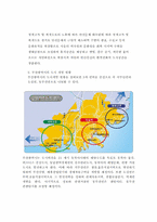 [부동산실무] 서울특별시와 부산광역시 도시계획 조례비교-19