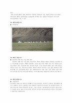 [여행사경영] 모토싸이클로 즐기는 14일간의 특별한 인도여행-15