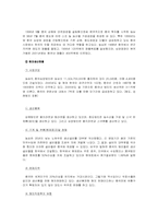 [국제기업분석](농심)‘신라면’ 중국진출사례분석-13
