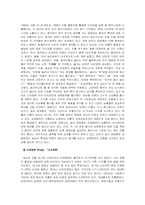 [국제기업분석](농심)‘신라면’ 중국진출사례분석-20