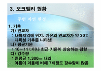 [관광개발] 오크벨리 관광자원개발 사례-12