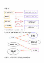 [경영정보처리론] `매일과실` 마케팅조사-17