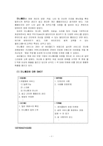 [마케팅전략] cywold 싸이월드 swot분석-4