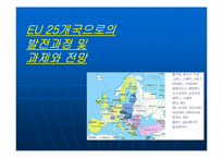[국제통상] EU 25개국 시대 출범과 국제통상관계의 변화-3
