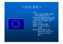 [국제통상] EU 25개국 시대 출범과 국제통상관계의 변화-4