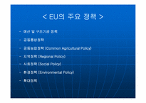 [국제통상] EU 25개국 시대 출범과 국제통상관계의 변화-5