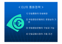 [국제통상] EU 25개국 시대 출범과 국제통상관계의 변화-6