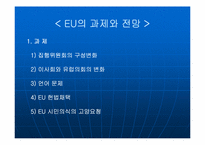 [국제통상] EU 25개국 시대 출범과 국제통상관계의 변화-8