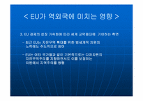 [국제통상] EU 25개국 시대 출범과 국제통상관계의 변화-12