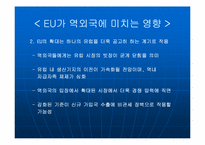 [국제통상] EU 25개국 시대 출범과 국제통상관계의 변화-17