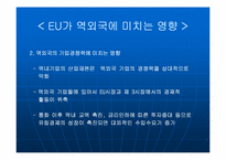 [국제통상] EU 25개국 시대 출범과 국제통상관계의 변화-20