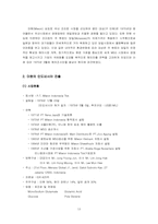 [글로벌기업사례](주)대상과 아지노모도의 국제경영전략-13