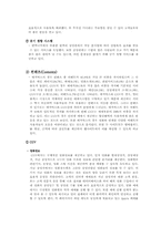 [마케팅성공사례] CGV성공사례-12