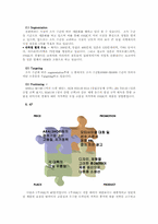 [국제마케팅] hjc홍진크라운 해외마케팅사례-9