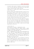 [재무관리] 코리아디스카운트에 대해서-5