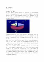[마케팅] CJ39쇼핑 마케팅전략-8