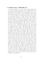 [국제마케팅] 세원텔레콤의 중국진출실패사례-18