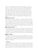 [국제경영] 디지털웨이`DIGITAL WAY`의 해외진출전략-5