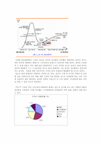 [국제경영] 디지털웨이`DIGITAL WAY`의 해외진출전략-10