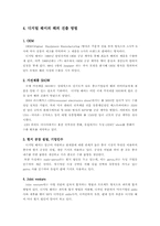 [국제경영] 디지털웨이`DIGITAL WAY`의 해외진출전략-11