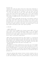 [프리미엄마케팅] 프리미엄마케팅전략을 이용한 BMW-5
