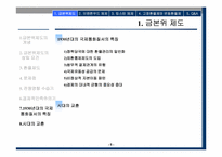 국제통화제도 레포트-5