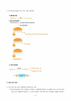[무역학] 중소기업의 수출경쟁력강화와 종합상사-9