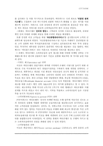 [국제경영] 시티은행의 한국진출 및 현지화전략-18